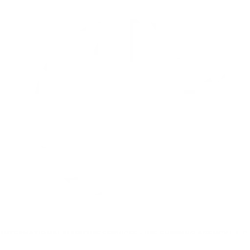 IMS Gulf White Logo